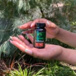 MODAE-CBD-SOFTGEL-CURCUMIN-IN-PALM-OF-HAND