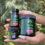 MODAE-CBD-3-PACK-BUNDLE-IN-PALM-OF-HAND